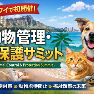 【動物福祉】ハワイ動物保護サミット開催｜野良動物問題と動物虐待対策の最前線