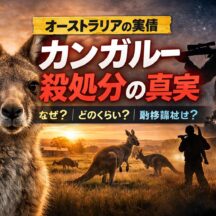 オーストラリアのカンガルー殺処分問題｜年間150万頭以上が駆除される現実と動物福祉の視点