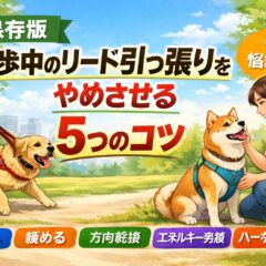 散歩中のリード引っ張りをやめさせる5つのコツ｜動物福祉の視点から徹底解説
