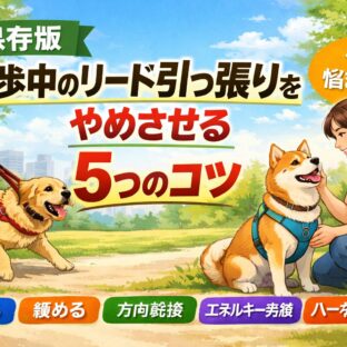 散歩中のリード引っ張りをやめさせる5つのコツ｜動物福祉の視点から徹底解説