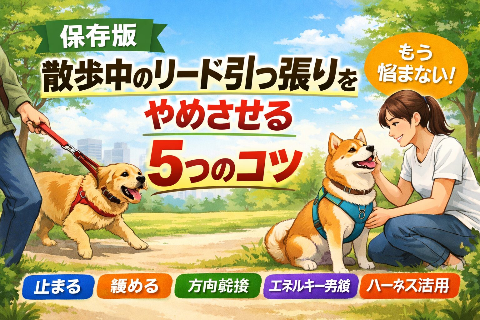 散歩中のリード引っ張りをやめさせる