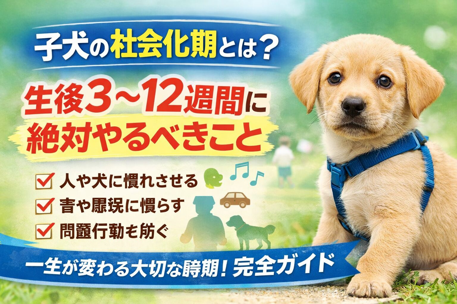 子犬の社会化期とは