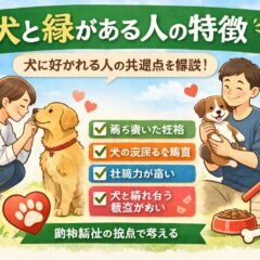 犬と縁がある人の特徴15選｜動物福祉の視点から見る「犬に好かれる人」の本質