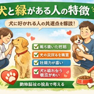 犬と縁がある人の特徴15選｜動物福祉の視点から見る「犬に好かれる人」の本質