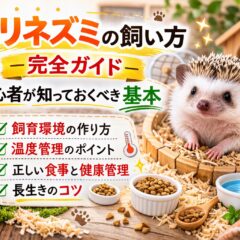 ハリネズミの飼い方完全ガイド｜初心者が必ず知るべき飼育方法と注意点
