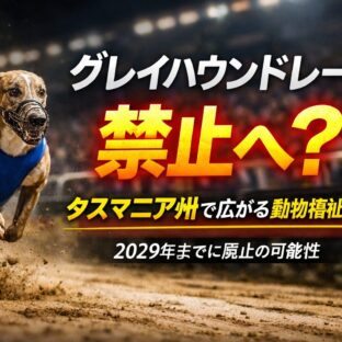 【2029年までに廃止？】タスマニア州で広がるグレイハウンドレース禁止運動｜動物福祉の観点から解説