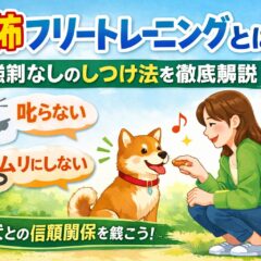 恐怖フリートレーニングとは？｜強制なしで犬が変わるしつけ法を徹底解説