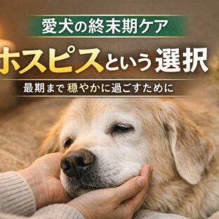 愛犬の終末期ケアとは？犬のホスピスという選択｜老犬を穏やかに看取る方法