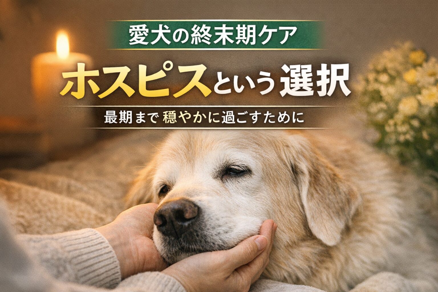 愛犬の終末期ケアとは?犬のホスピスという選択