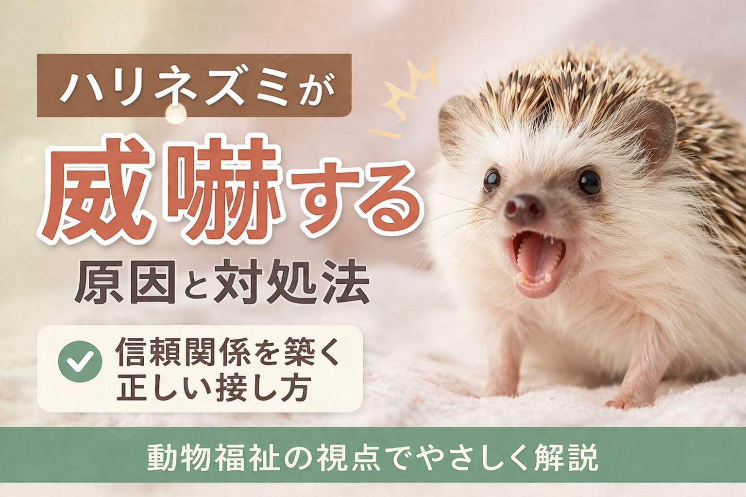 ハリネズミが威嚇する原因と対処法