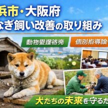 つなぎ飼いをやめたい方へ｜横浜市・大阪府の動物愛護推進計画から学ぶ改善の具体策と犬の幸福度を高める方法