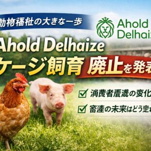 【動物福祉】Ahold Delhaizeがケージ飼育廃止へ｜畜産の未来と消費者ができること