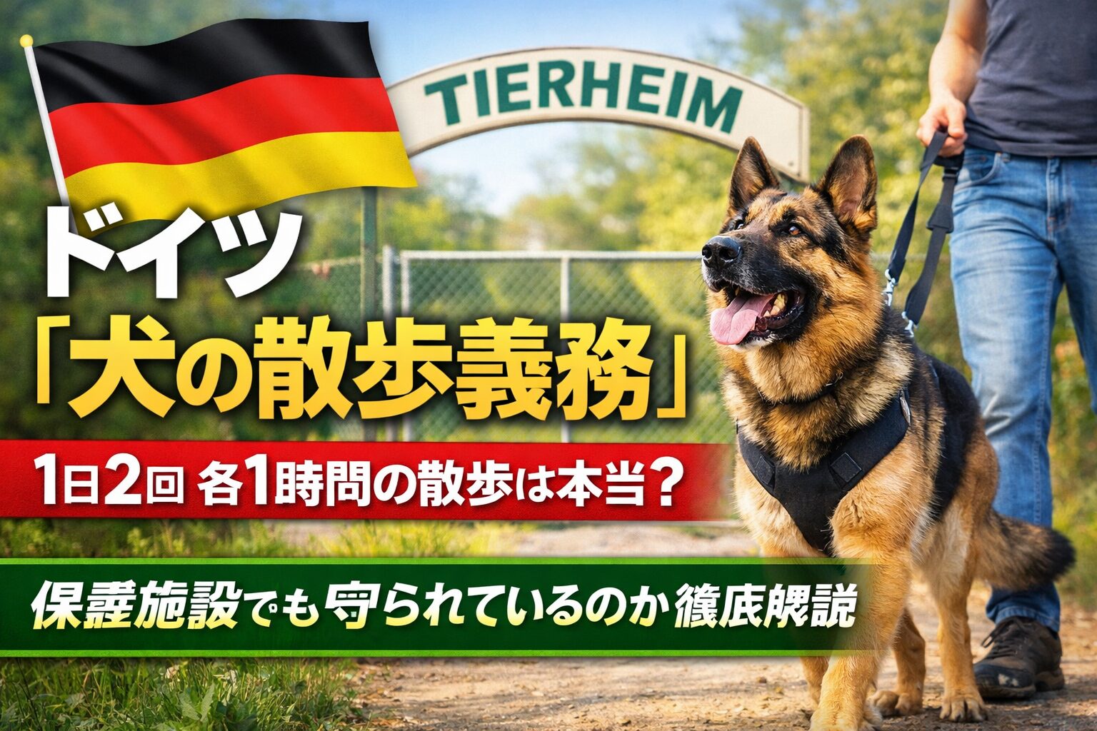 ドイツの犬の散歩義務