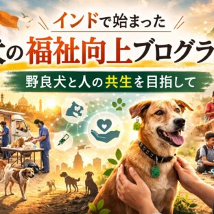 インドで犬の福祉向上プログラムが始動｜野良犬問題を科学と地域連携で解決する新しいアプローチ