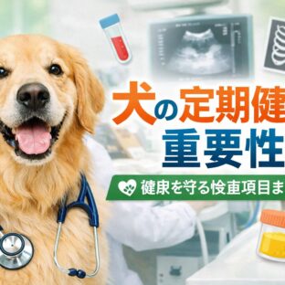 犬の定期健診は必要？健康診断の重要性と検査項目を完全解説
