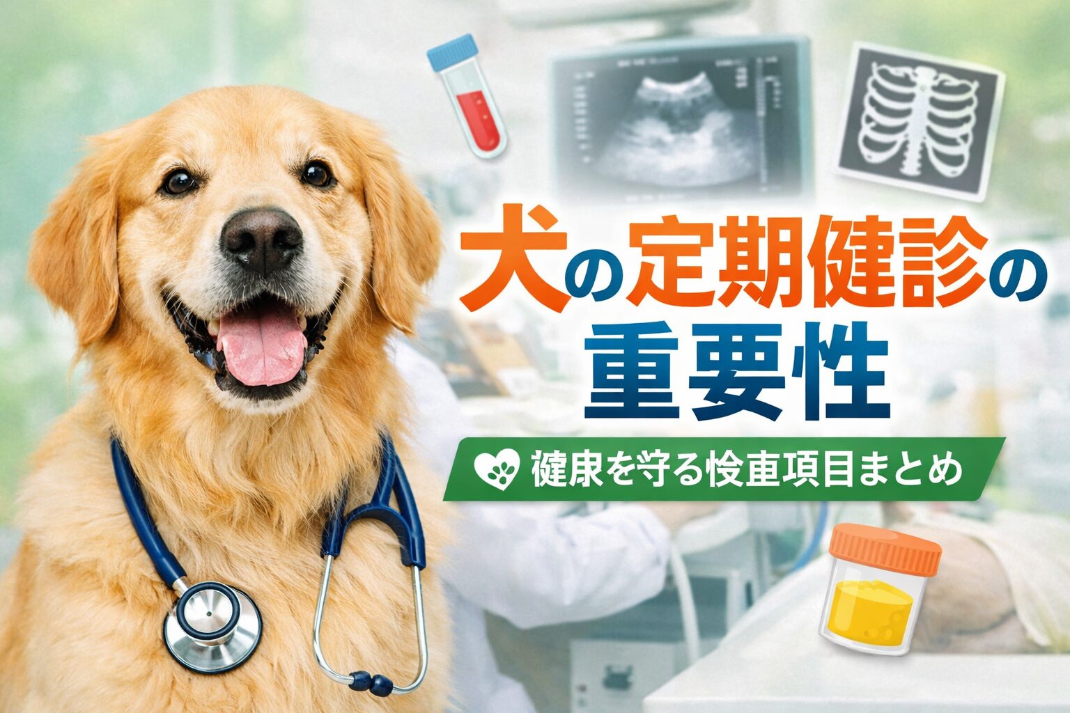 犬の定期健診は必要？