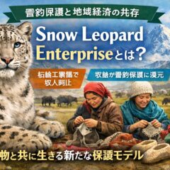 雪豹保護の成功事例｜Snow Leopard Enterpriseが報復殺害を減らした仕組みとは