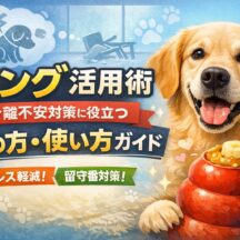 コング活用術｜犬の分離不安を改善する詰め方・使い方完全ガイド
