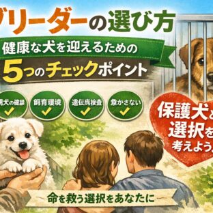 ブリーダーの選び方｜健康な犬を迎えるチェックポイント【保護犬という選択も】
