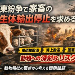 中東紛争で家畜の生体輸出停止を求める声｜長距離輸送と動物福祉問題を解説