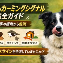 犬のカーミングシグナル完全ガイド｜見逃すと危険なストレスサインと正しい対処法
