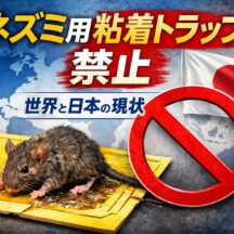 ネズミ用粘着トラップは禁止すべきか？世界の規制事例と日本の現状を徹底解説