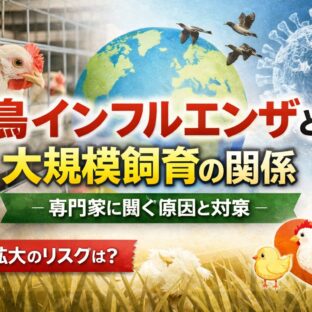 鳥インフルエンザと大規模飼育の関係｜専門家が警鐘を鳴らす「見えないリスク」とは