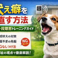 吠え癖を直す方法｜原因別・段階別のトレーニングガイド【動物福祉の視点で解説】