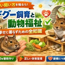 デグー飼育と動物福祉｜正しい知識で守る「5つの自由」と幸せな共生のすべて