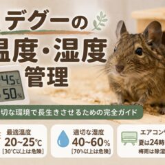 デグーの床材おすすめ完全ガイド｜安全・清潔・ストレス軽減の選び方