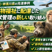 動物福祉に配慮した鳥獣管理とは？千葉県・神奈川県の先進事例をわかりやすく解説