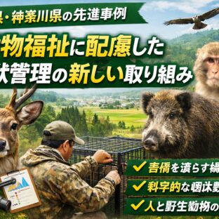 動物福祉に配慮した鳥獣管理とは？千葉県・神奈川県の先進事例をわかりやすく解説