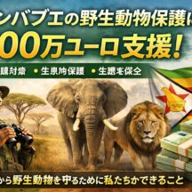 ジンバブエの野生動物保護に100万ユーロ支援｜密猟対策・生息地保護とアフリカの現状