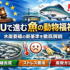 【EUで進む魚の動物福祉】水産養殖の新基準とは？痛覚・ストレス・屠殺方法まで徹底解説