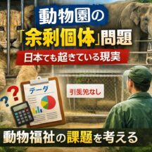 動物園の余剰個体問題とは？日本でも起きている動物福祉の課題