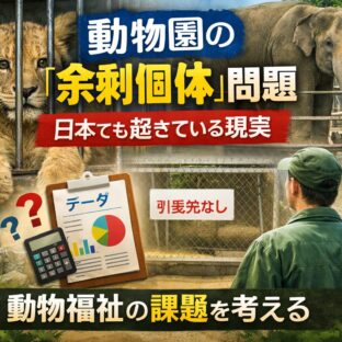 動物園の余剰個体問題とは？日本でも起きている動物福祉の課題