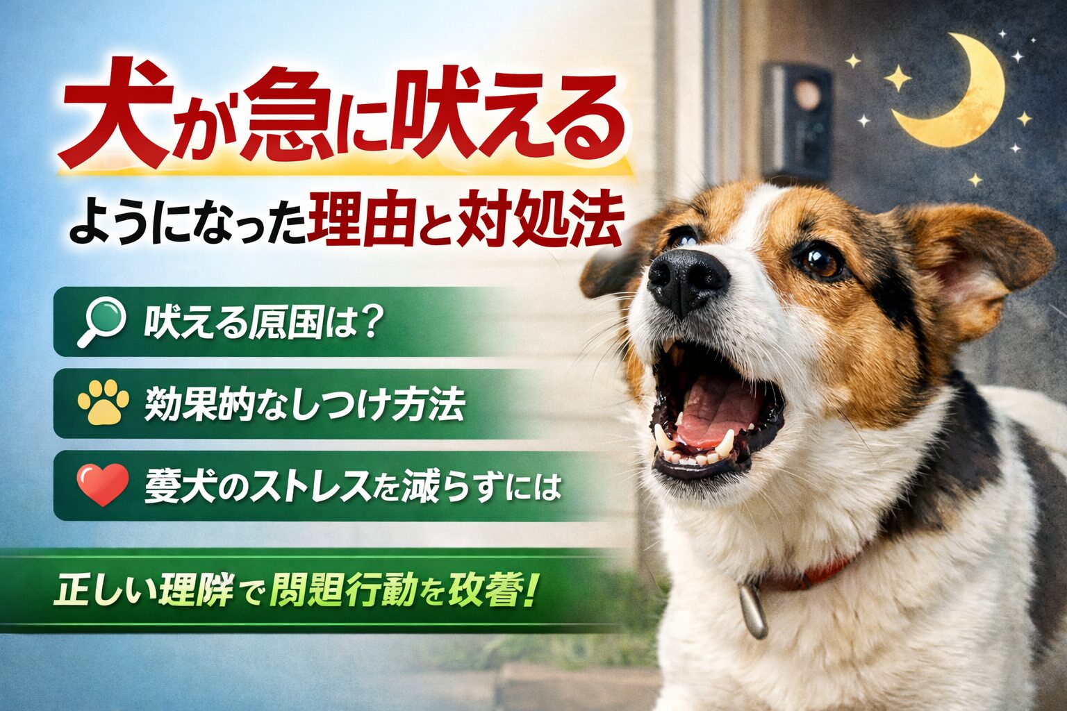犬が急に吠える理由とは
