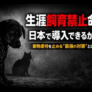 生涯飼育禁止命令は日本でも導入できるか？虐待・飼育放棄への厳罰化を海外事例から考える