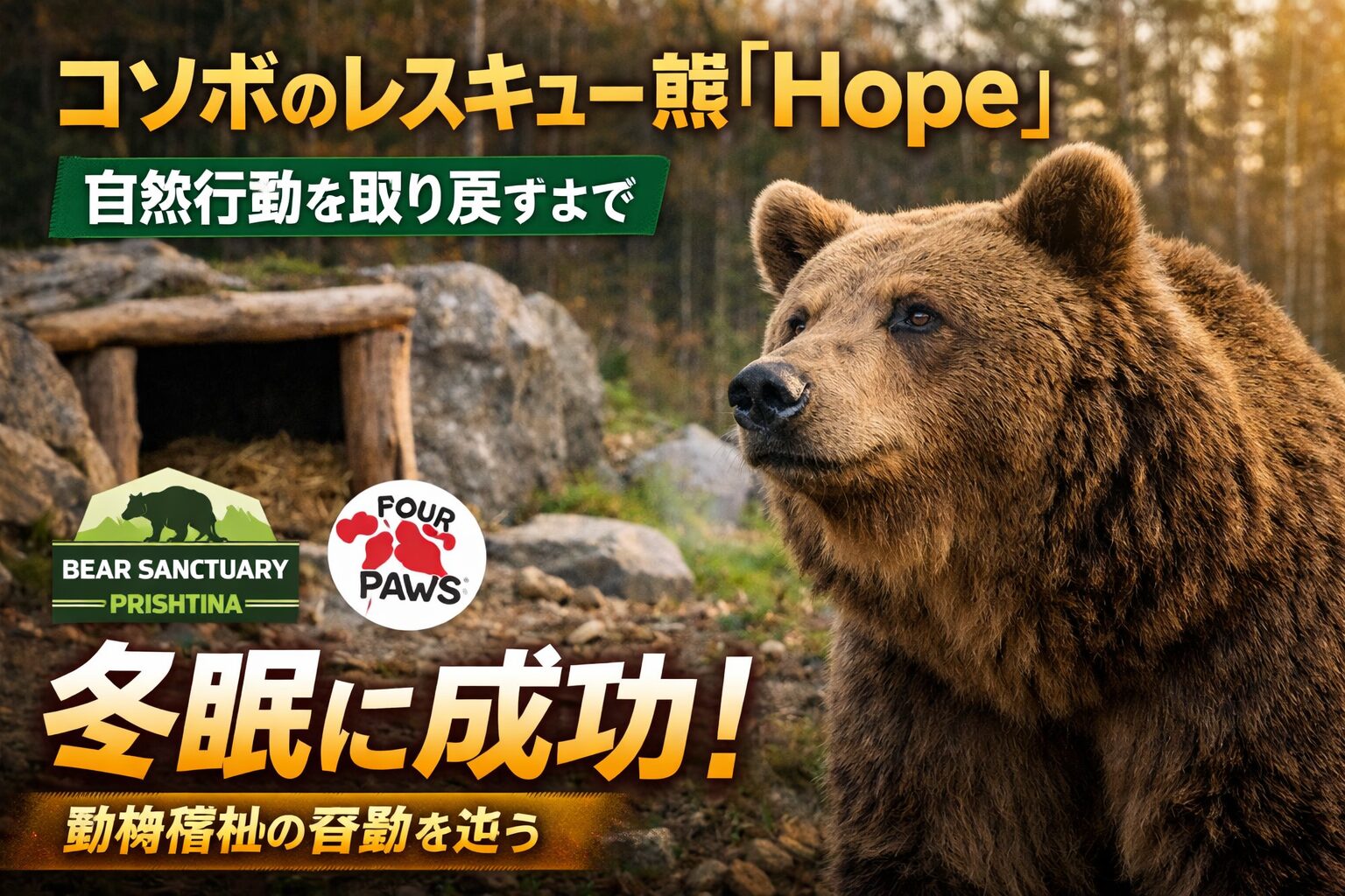 冬眠に成功したHope