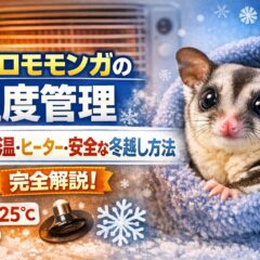 フクロモモンガの正しい温度管理｜冬の適温・ヒーター・冬越し対策を完全解説