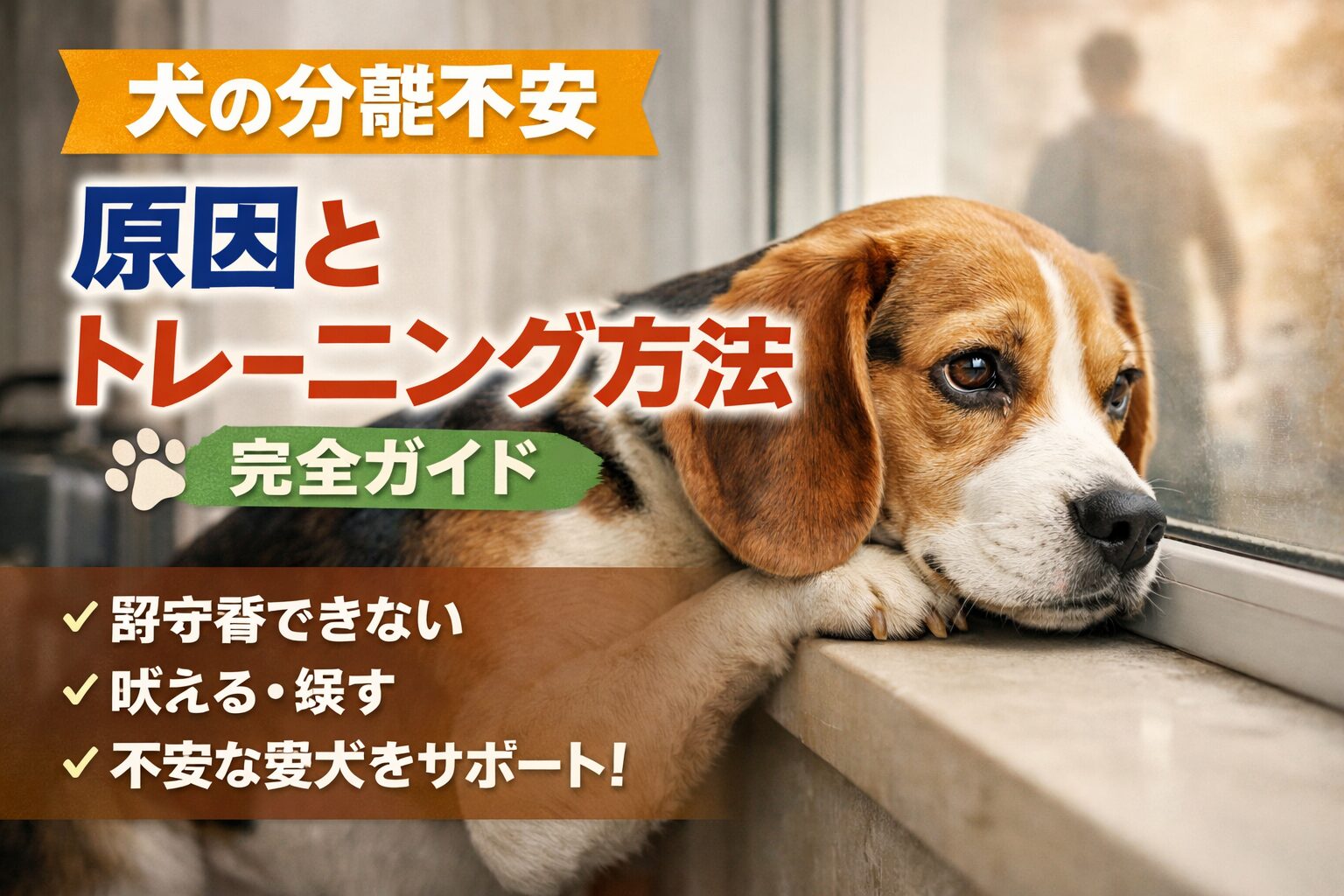 犬の分離不安の原因と対策