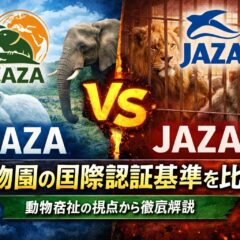 EAZAとJAZAの違いとは？動物園の国際認証基準を動物福祉の視点で比較