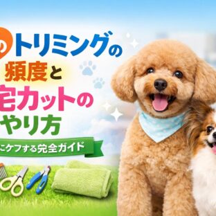 犬のトリミングの頻度と自宅カットのやり方｜プロが教える完全ガイド