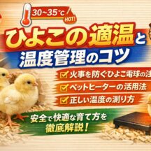 ひよこの適温は何度？温度管理のコツ・電球の高さ・火災防止まで完全解説