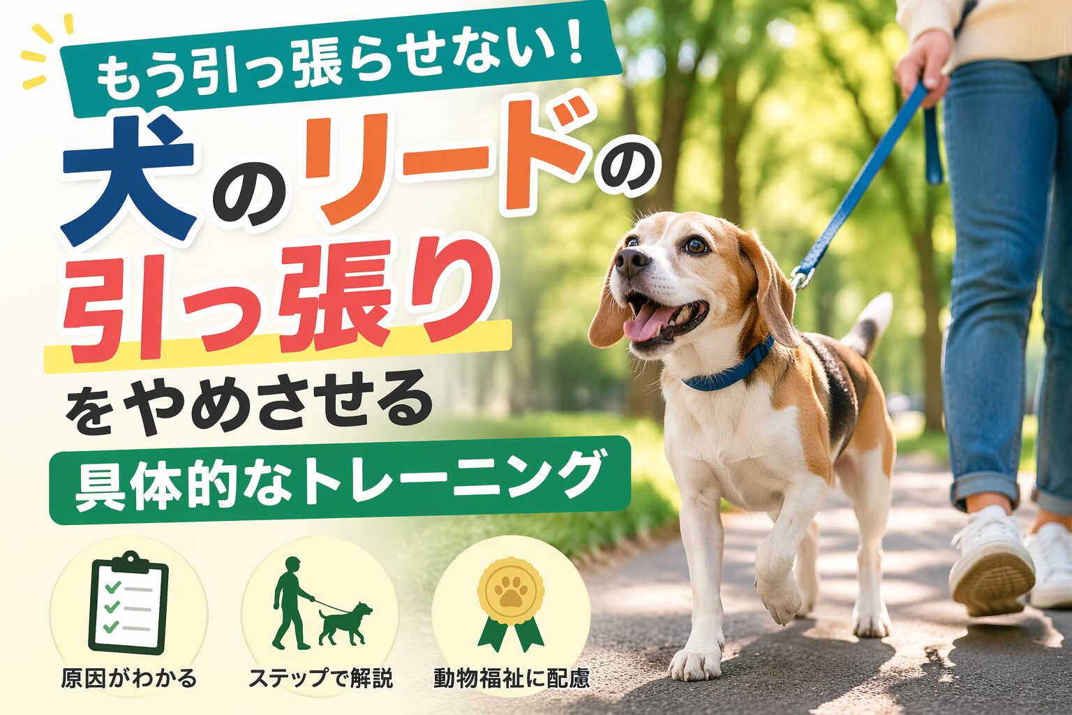 犬のリードの引っ張りをやめさせる具体的なトレーニング方法