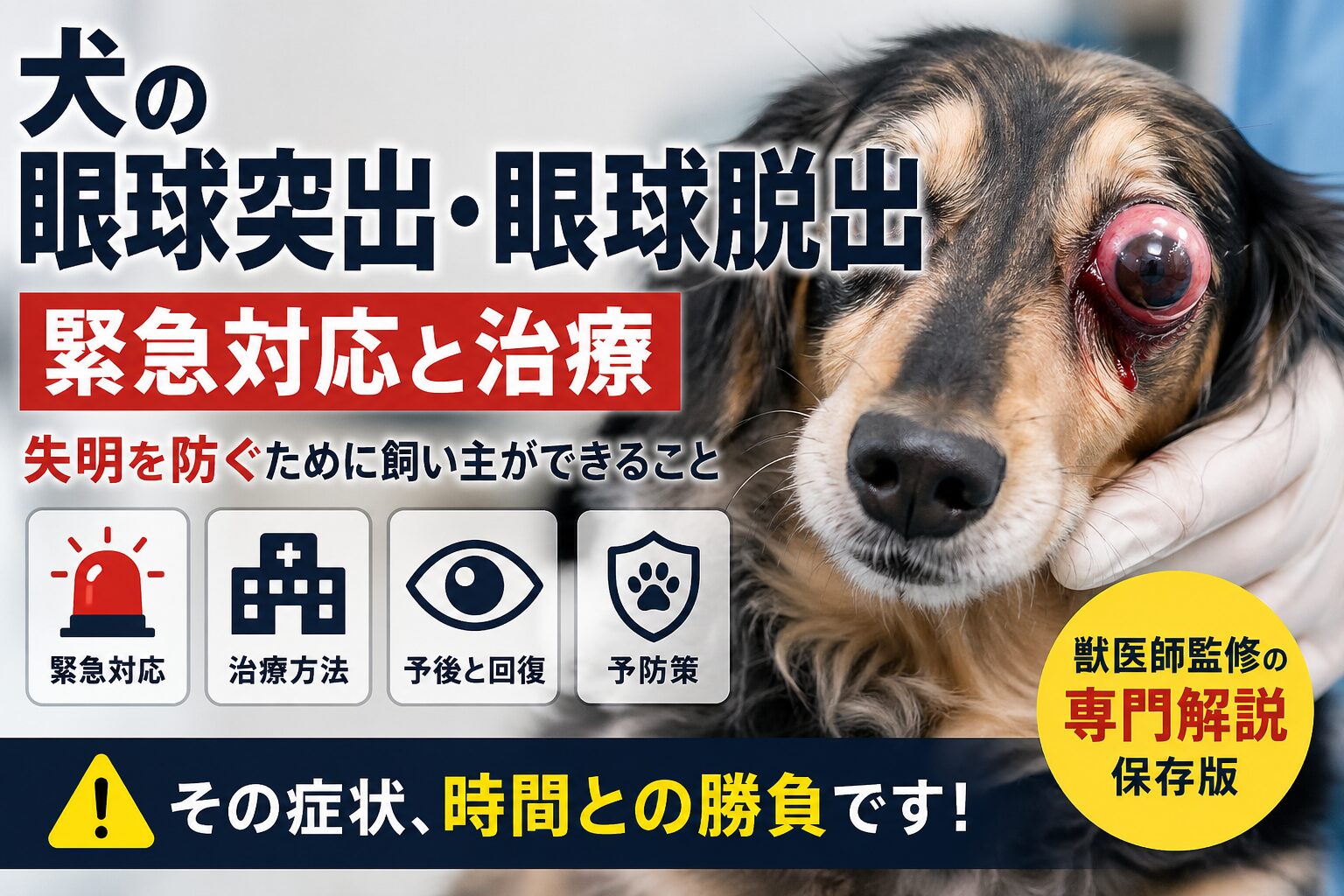 犬の眼球突出・眼球脱出