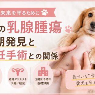 犬の乳腺腫瘍を早期発見するために知っておきたいこと｜避妊手術との深い関係