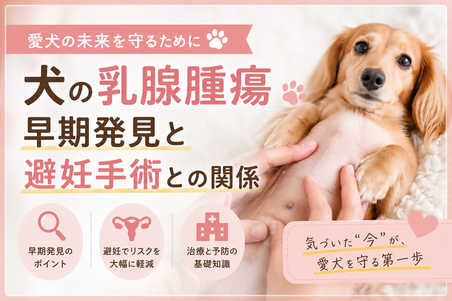 犬の乳腺腫瘍を早期発見するために知っておきたいこと