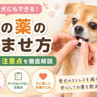 犬の薬の飲ませ方完全ガイド｜嫌がるときのコツと絶対に知っておきたい注意点