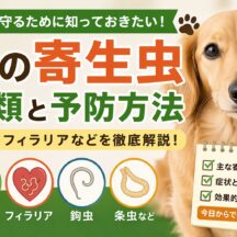 犬の寄生虫を徹底解説！回虫・フィラリアなど種類と予防方法まとめ